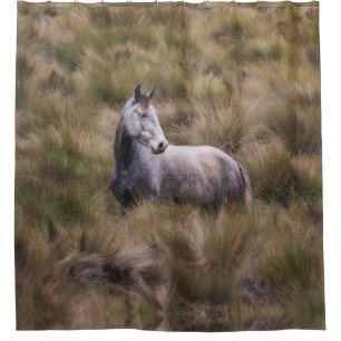 Rideaux De Douche Beau Cheval gris coloré