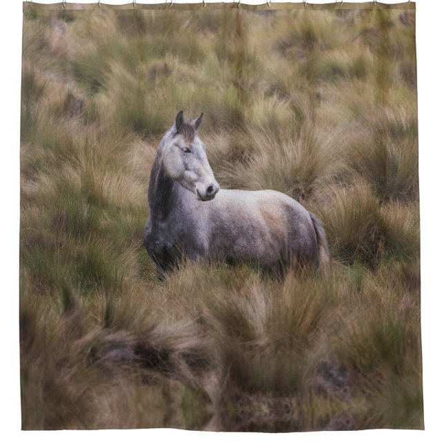 Rideaux De Douche Beau Cheval gris coloré (Devant)