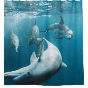 Rideaux De Douche Beaux dauphins mignons