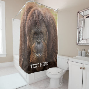 Rideaux De Douche Belle photographie de Borneo Orangutan
