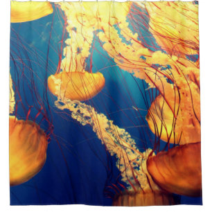 Rideaux De Douche Belle Vie Marine : Jellyfish or