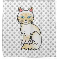 Birman / Ragdoll Tabby crème au museau et aux patt