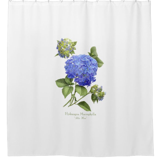 Rideaux De Douche Blue Hydrangeas (Devant)