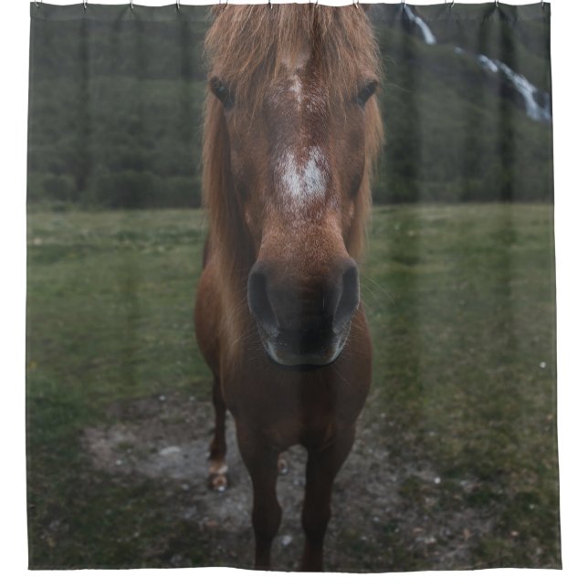RIDEAUX DE DOUCHE BONJOUR JE SUIS UN CHEVAL (Devant)