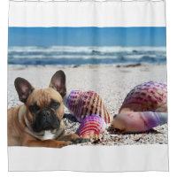 Bouledogue français été French Bulldog