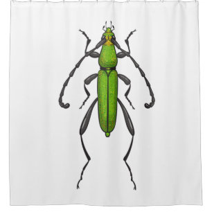 Rideaux De Douche Bousier vert