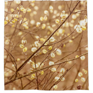Rideaux De Douche Branches florissantes de saules au printemps, sais