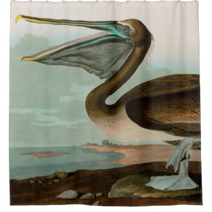 Rideaux De Douche Brown Pelican Birds of America Audubon Imprimer