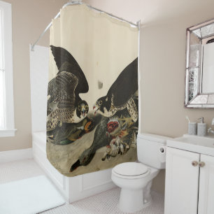 Rideaux De Douche Buse à pattes géantes des oiseaux d'Amérique d'Aud