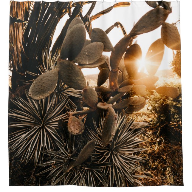 RIDEAUX DE DOUCHE CACTUS LE MATIN (Devant)