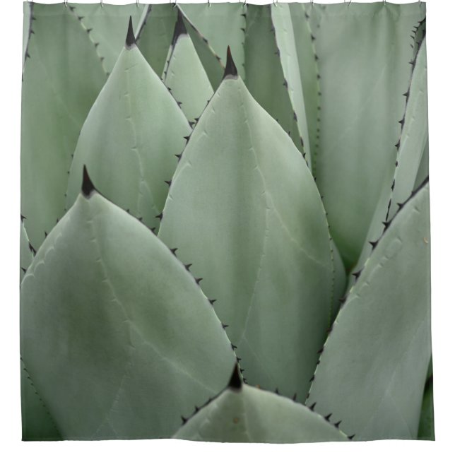 Rideaux De Douche Cactus vert (Devant)