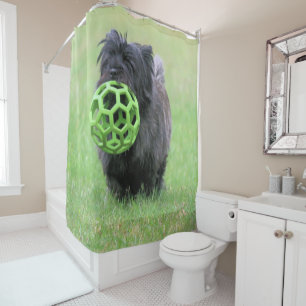 Rideaux De Douche Cairn terrier