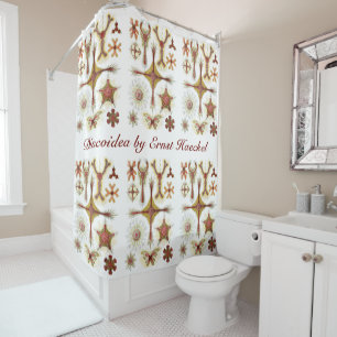 Rideaux De Douche Camomille sauvage par Ernst Haeckel, Nature vintag