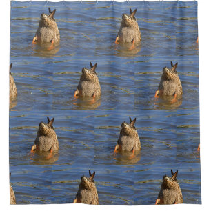 Rideaux De Douche Canard de plongée