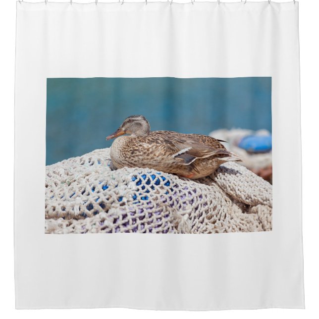 Rideaux De Douche Canard de repos (Devant)