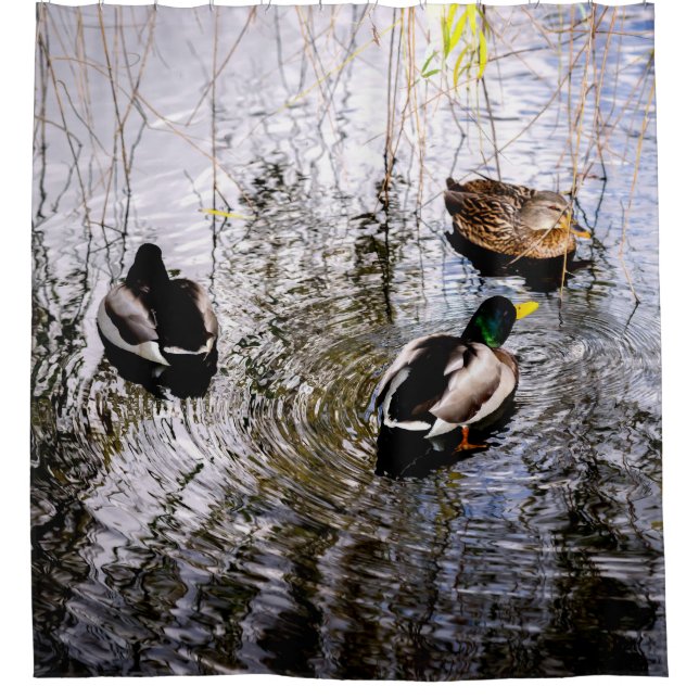 Rideaux De Douche Canards (Devant)