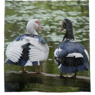 Rideaux De Douche Canards de Muscovy