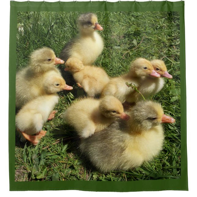 Rideaux De Douche canards et oisons (Devant)