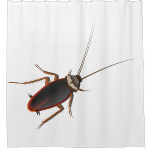 Rideaux De Douche Cancrelat