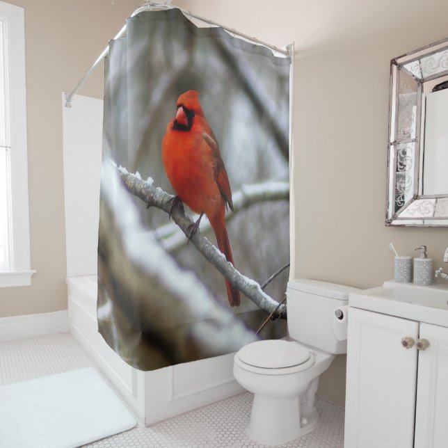Rideaux De Douche Cardinal masculin (En situation)