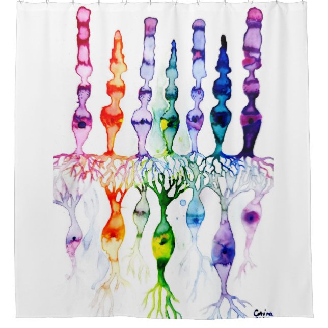 Rideaux De Douche Cellules coniques, cellules en bâtonnet et neurone (Devant)