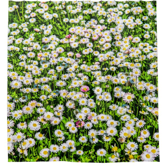 Rideaux De Douche Champ de fleurs de marguerite (Devant)