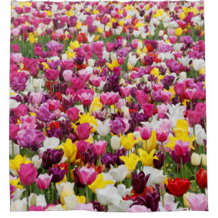 Rideaux De Douche champ plein de tulipes