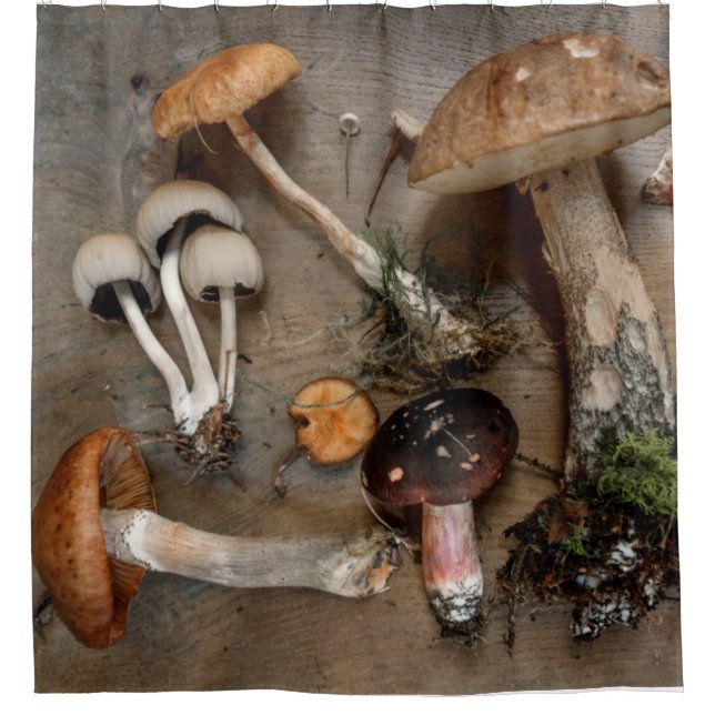 Rideaux De Douche Champignons d'amour des champignons (Devant)