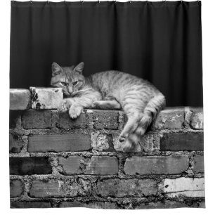 Rideaux De Douche Chat sur mur de brique