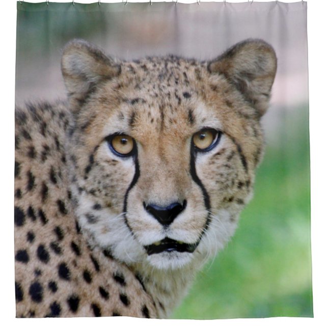Rideaux De Douche Cheetah 009 (Devant)