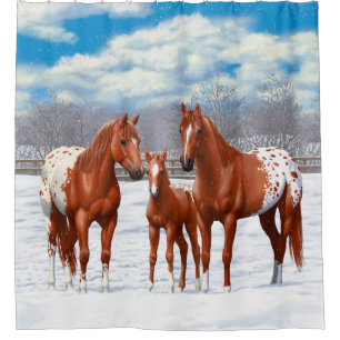 Rideaux De Douche Chestnut Appaloosa Sorrel Quarter Chevaux en Neige