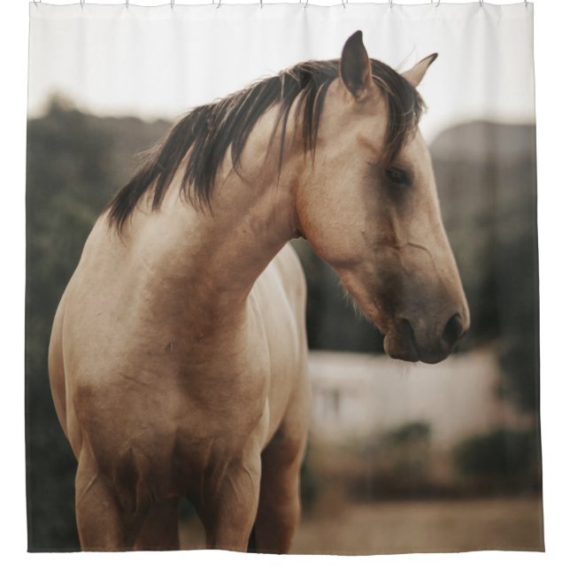 RIDEAUX DE DOUCHE CHEVAL BROWN (Devant)