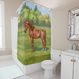 Rideaux De Douche Cheval égyptien arabe châtaigner dans le pâturage