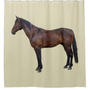 Rideaux De Douche Cheval Morgan de Profil