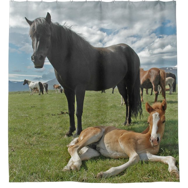 Rideaux De Douche Chevaux (Devant)