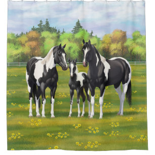Rideaux De Douche Chevaux De Peinture De Pinto Noir En Pâturage Été