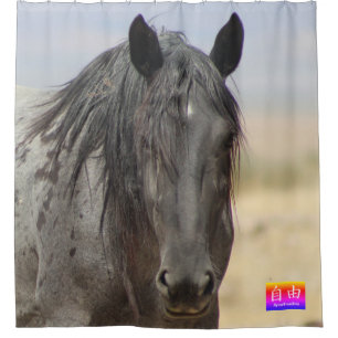 RIDEAUX DE DOUCHE CHEVAUX SAUVAGES DE LA DOUCHE DE LA LIBERTÉ UTAH