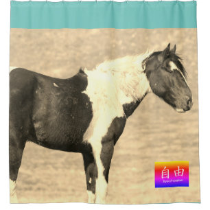 RIDEAUX DE DOUCHE CHEVAUX SAUVAGES DE L'UTAH PINTO CUSTOM SHOWE CURT