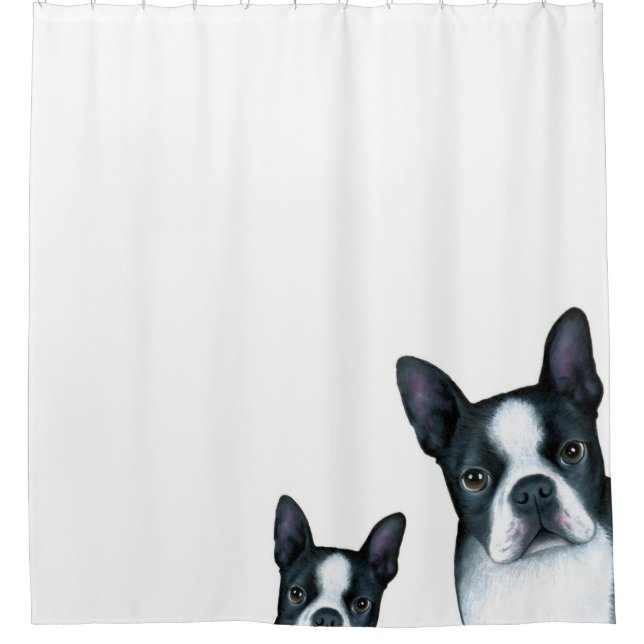 Rideaux De Douche Chien 128 Boston Terrier (Devant)