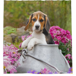 Rideaux De Douche Chien Beagle de Tricolore mignon dans une église 