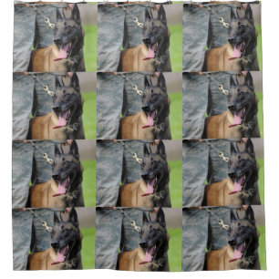 Rideaux De Douche Chien de sourire de Malinois de Belge