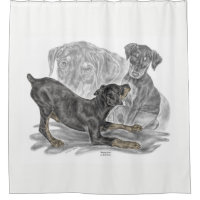 Chiots Doberman Pinscher