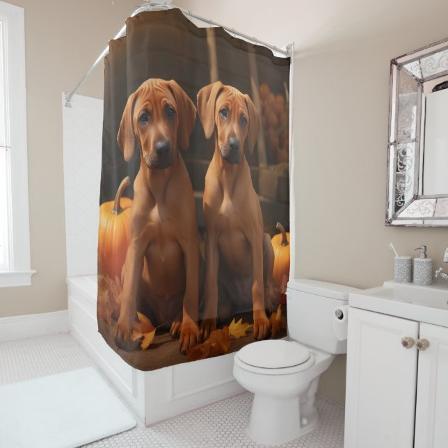 Rideaux De Douche Chiots Rhodesian Ridgeback Délice d'Automne Citrou (En situation)