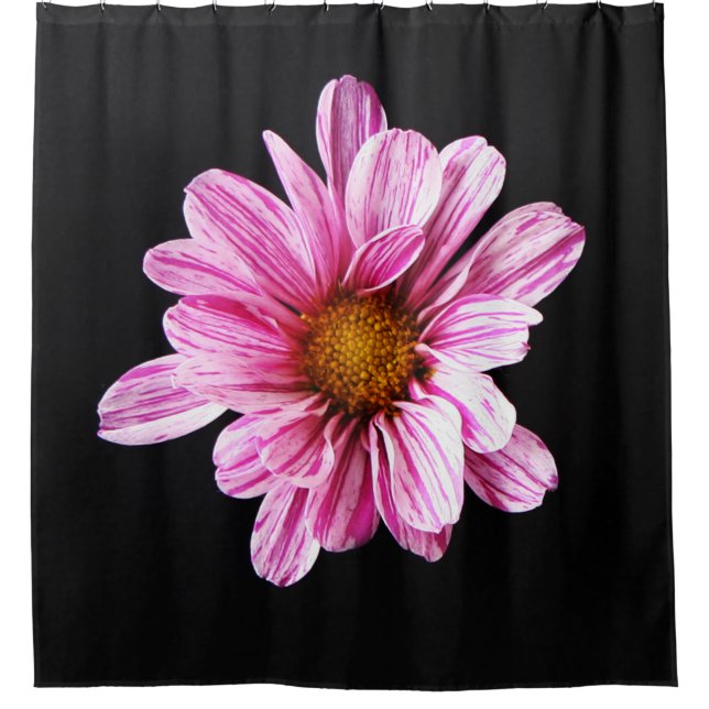 Rideaux De Douche Chrysanthemum Fleur sccnm (Devant)