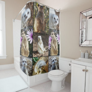 Rideaux De Douche Collage photo de Meerkat,