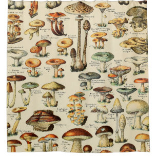 Rideaux De Douche Collection de champignons 