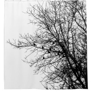 Rideaux De Douche Colombes dans l'arbre monochrome à contraste élevé