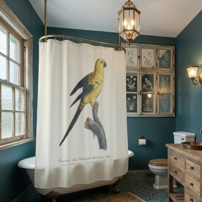 Rideaux De Douche Conure soleil ou Aratinga solstitialis (Guarouba dans sons jeune age / Sun parakeet. Shower Curtain)