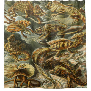 Rideaux De Douche Copie d'art d'Ernst Haeckel : Lacertilia