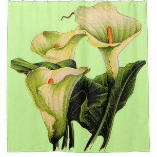 Rideaux De Douche Copie de zantedeschias